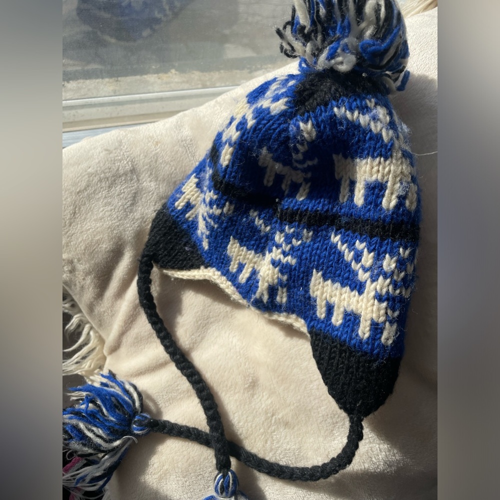 Warm winter wool and fleece hat covering ears